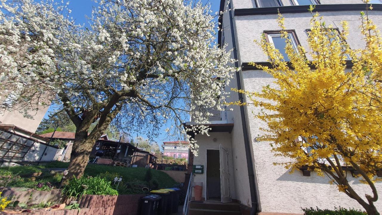 Schoene Aussicht, Wallbox, 70Qm, Kontaktloser Check-In Eisenach Exterior photo